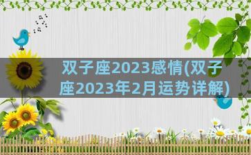 双子座2023感情(双子座2023年2月运势详解)