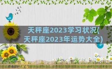 天秤座2023学习状况(天秤座2023年运势大全)