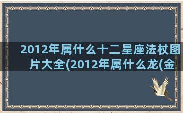 2012年属什么十二星座法杖图片大全(2012年属什么龙(金木水火土))
