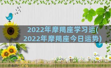 2022年摩羯座学习运(2022年摩羯座今日运势)