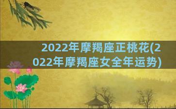 2022年摩羯座正桃花(2022年摩羯座女全年运势)
