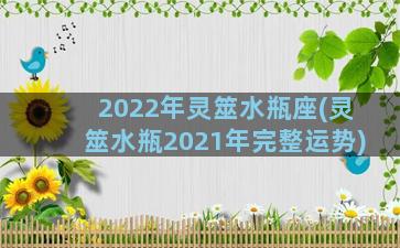 2022年灵筮水瓶座(灵筮水瓶2021年完整运势)