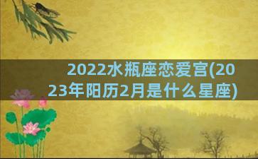 2022水瓶座恋爱宫(2023年阳历2月是什么星座)