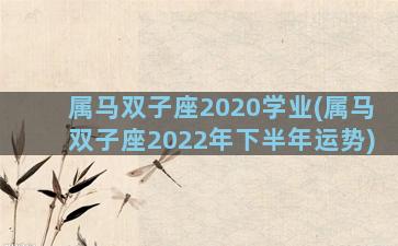 属马双子座2020学业(属马双子座2022年下半年运势)