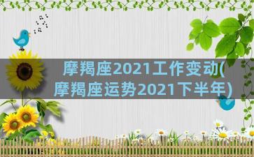摩羯座2021工作变动(摩羯座运势2021下半年)