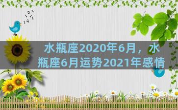 水瓶座2020年6月，水瓶座6月运势2021年感情